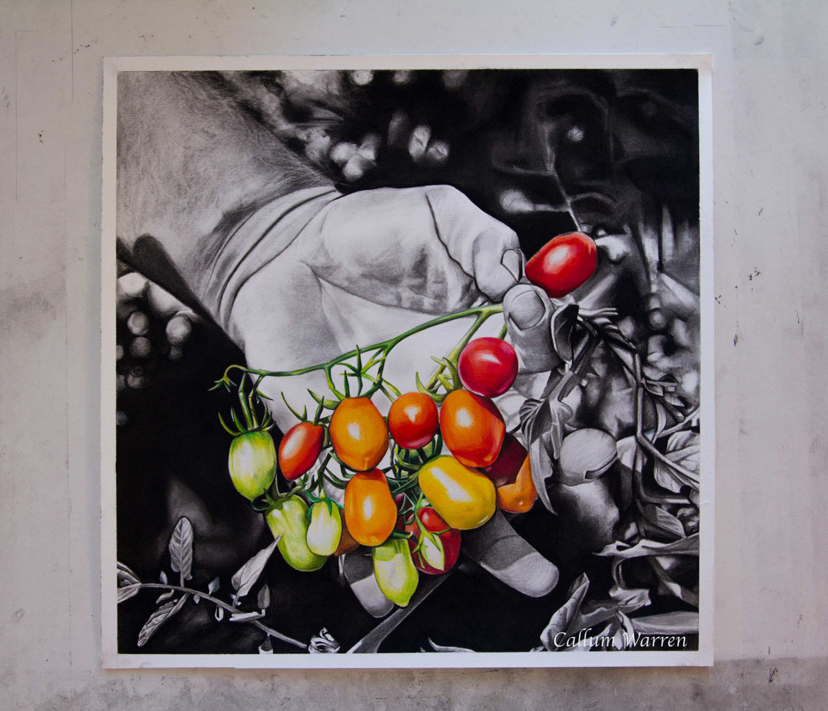 Hand picked part 2! – Callum Warren